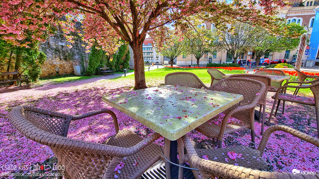 Virágszőnyeg kávé mellé.