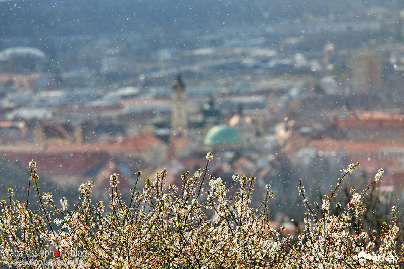 Tél a tavaszban