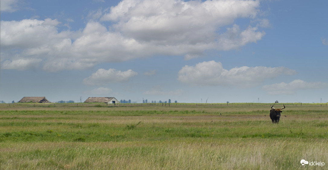 Hortobágyi életkép