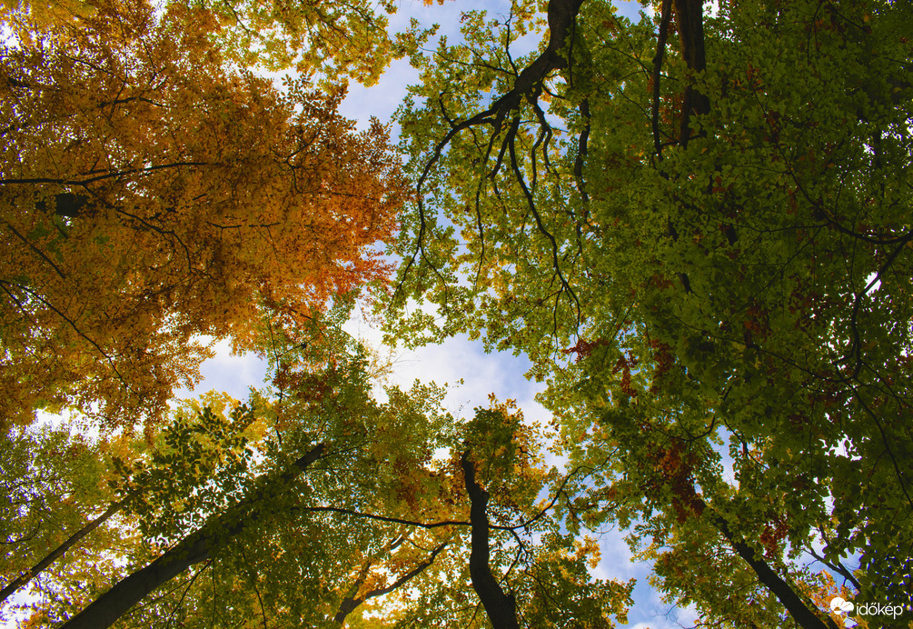 Különböző szemszögből az őszi Mátra