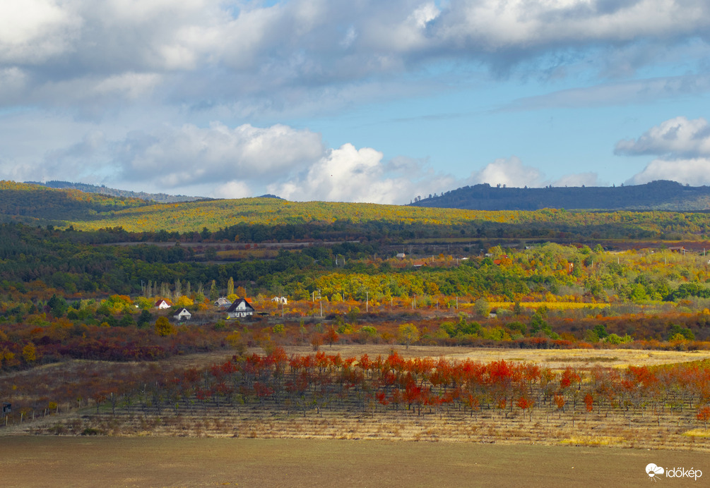 Amikor a természet mesél