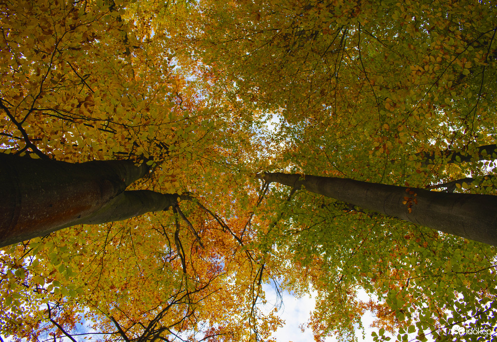 Különböző szemszögből az őszi Mátra
