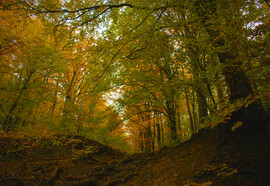 Különböző szemszögből az őszi Mátra