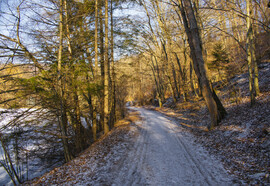 Téli csend Szilvásváradon