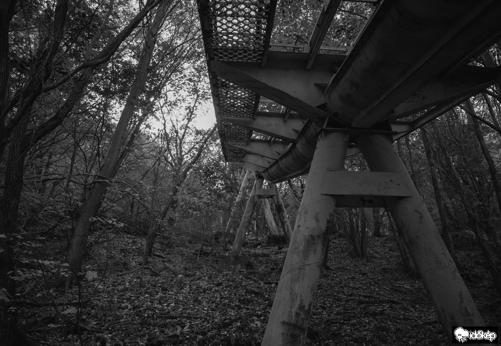 Acélszerkezet az erdő mélyén