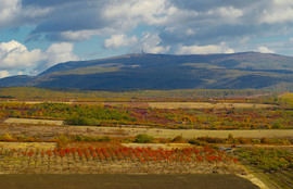Amikor a természet mesél