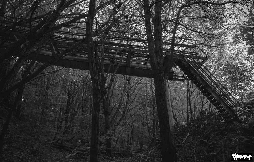 Acélszerkezet az erdő mélyén