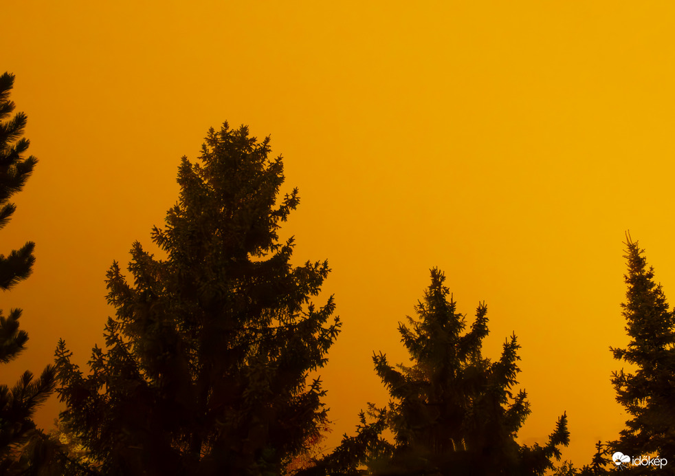 Sarki fény a ködben