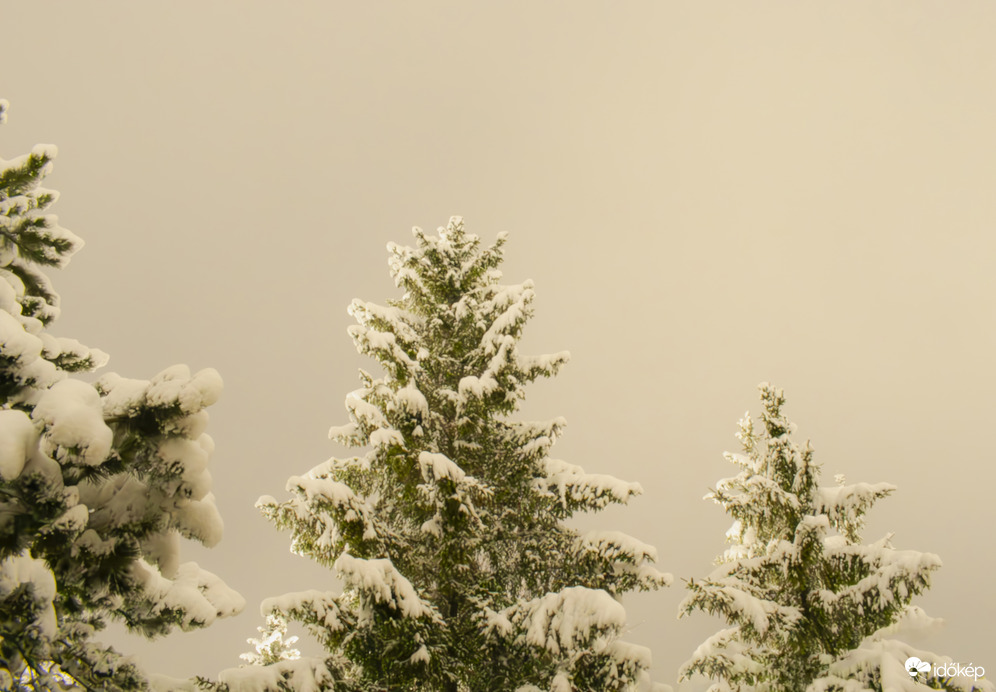 Havas reggel a Mátra lábánál