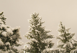 Havas reggel a Mátra lábánál