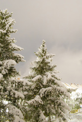 Havas reggel a Mátra lábánál