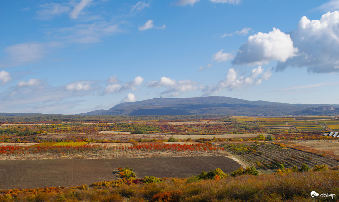 Amikor a természet mesél