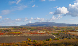 Amikor a természet mesél
