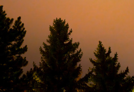 Sarki fény a ködben