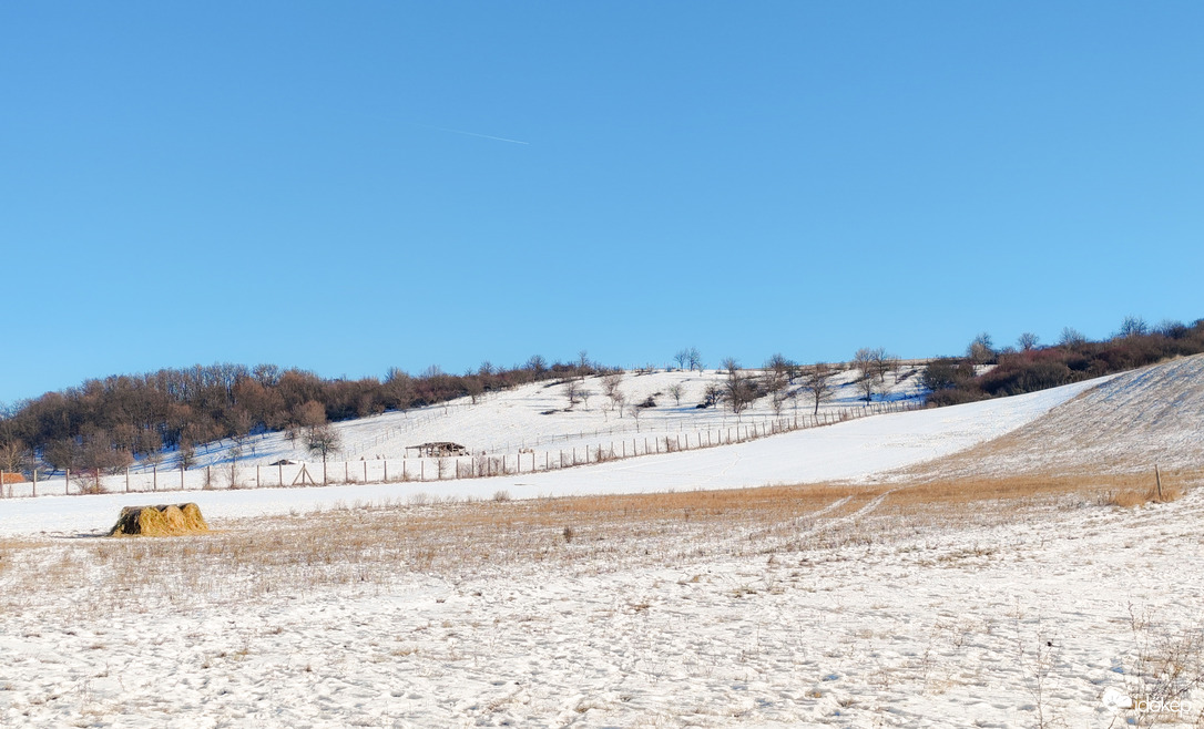 Téli napsütés a Bükkben