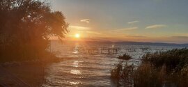 kisszepi fotója
