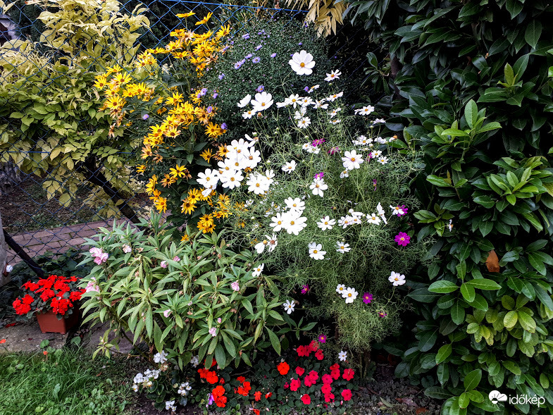 Őszi kompozíció - színkavalkád szeptember végén