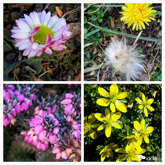 A tavasz jelei a kertben is
