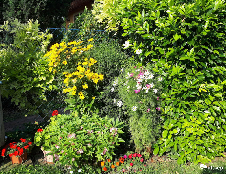 Helykihasználás: csendélet 2 négyzetméteren