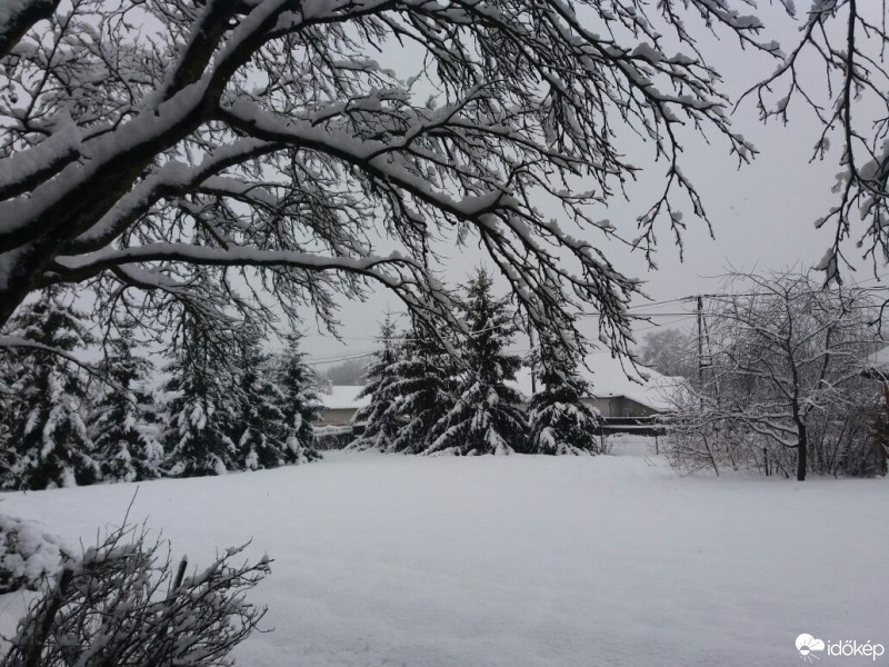 Észlelési fényképek