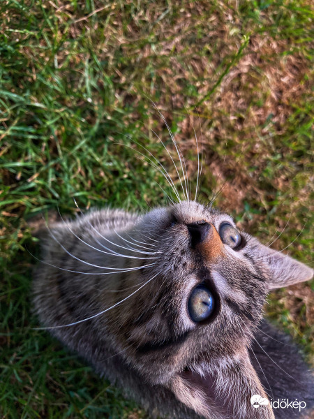 Tegnapi cirmos ☺️