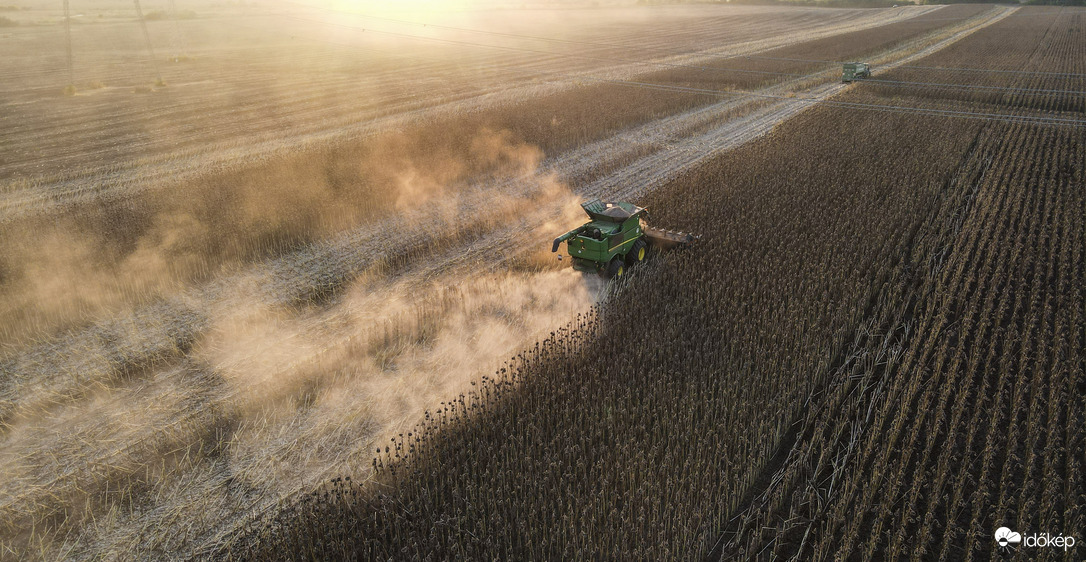 Aratás a lenyugvó nap fényénél