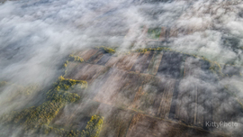 Köd és az ősz találkozása