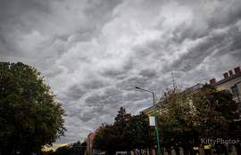 Mammák a város felett