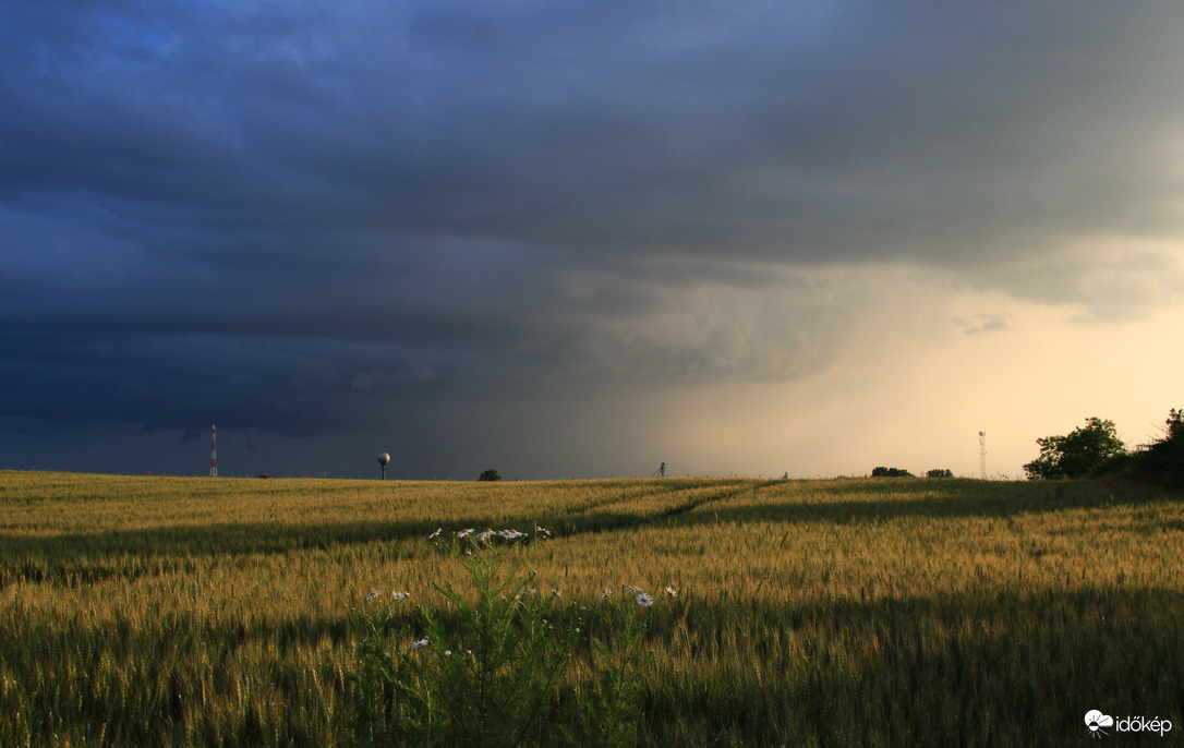 Vihar előtti csendélet