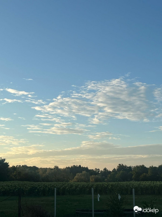 Észlelési fényképek