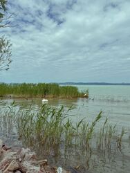 Balatonszemes