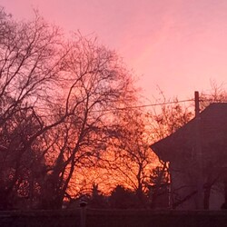 Ma az égi lámpásé a főszerep 