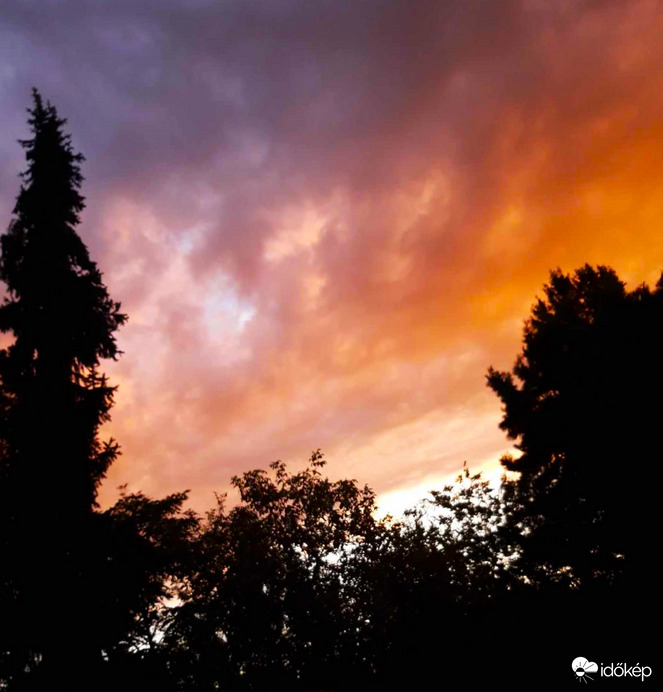 Ablak(omból) a világra 1