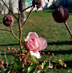 Tél és nyár egyben 