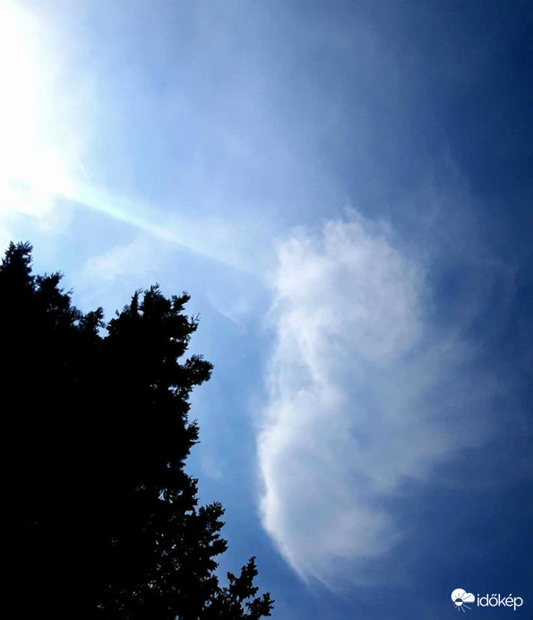 Szégyenlős angyalka 