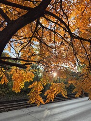 Budapest XI.ker - Gazdagrét