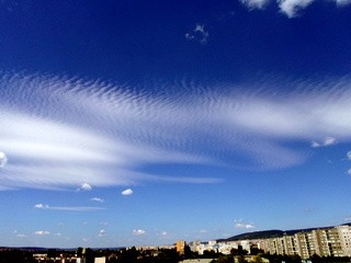 Cirrus vertebratus