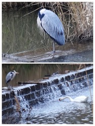 ma sem láttuk a napot