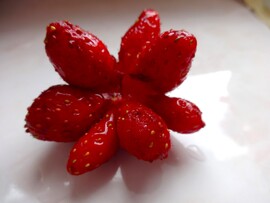 szamóca(ikrek)