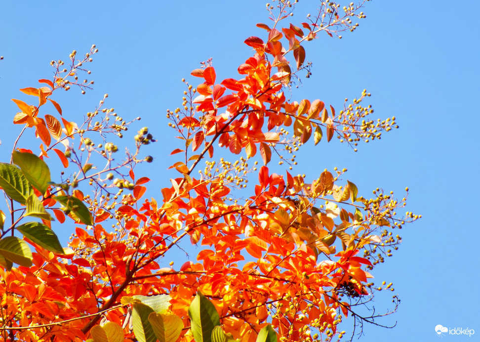 tiszta égbolt délidőben