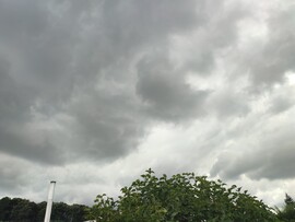 Arló