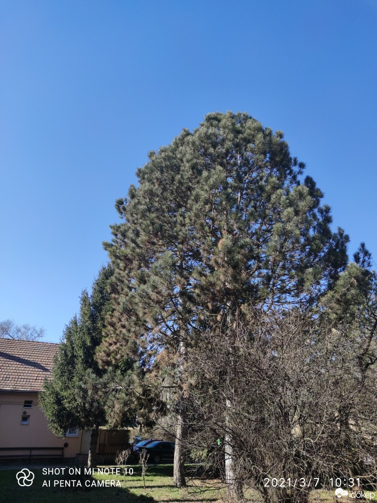 Észlelési fényképek