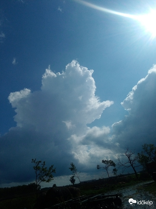 Észlelési fényképek