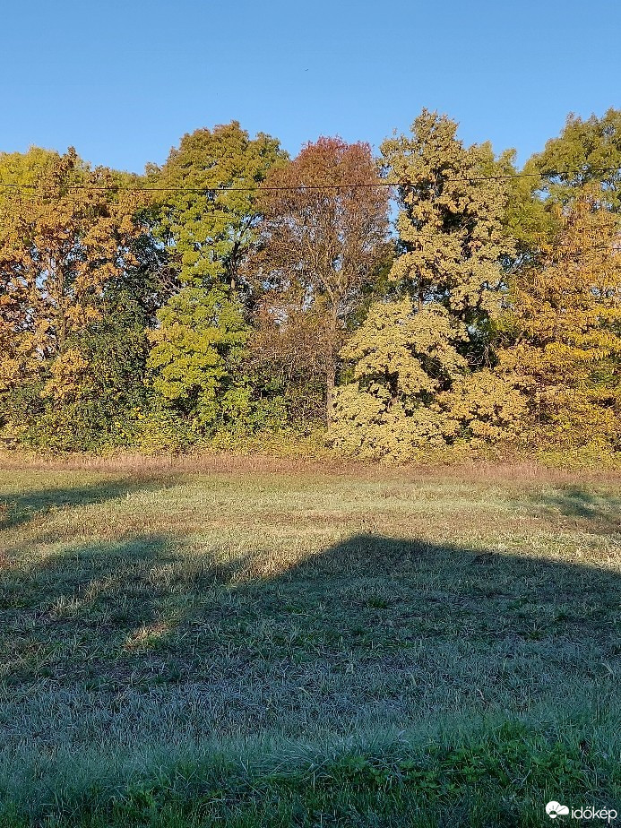 Észlelési fényképek