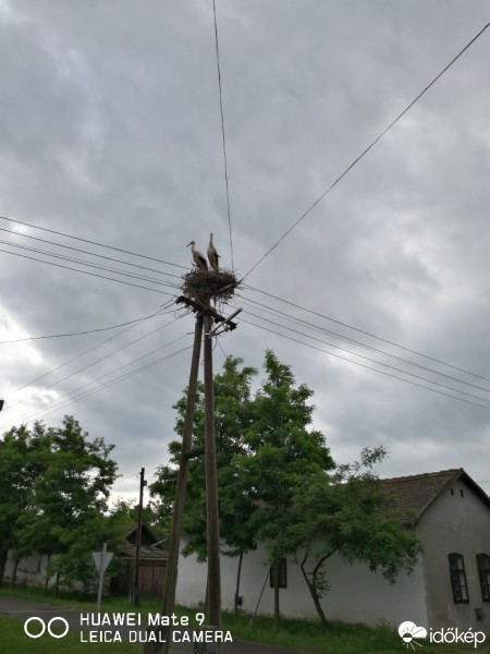 Észlelési fényképek