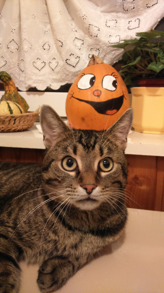 HAPPY HALLOWEEN