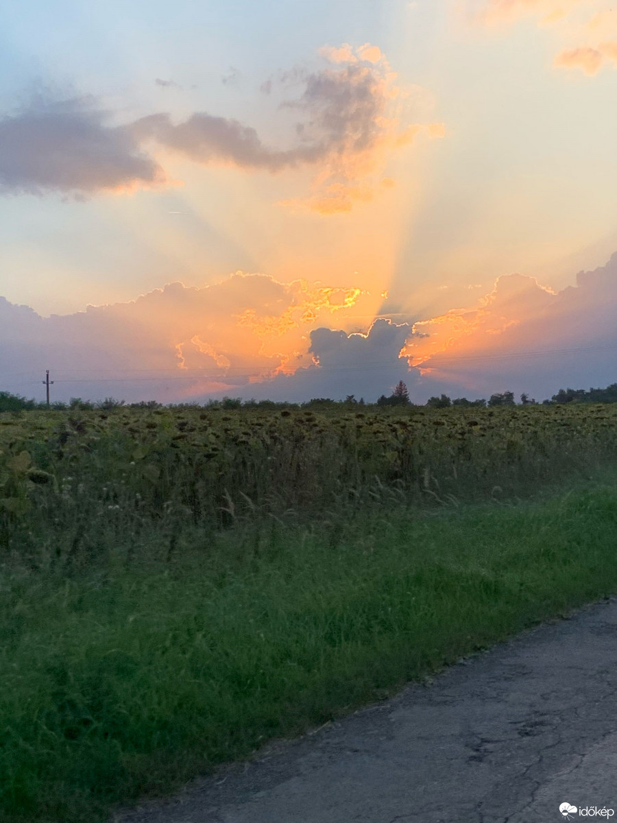 Észlelési fényképek