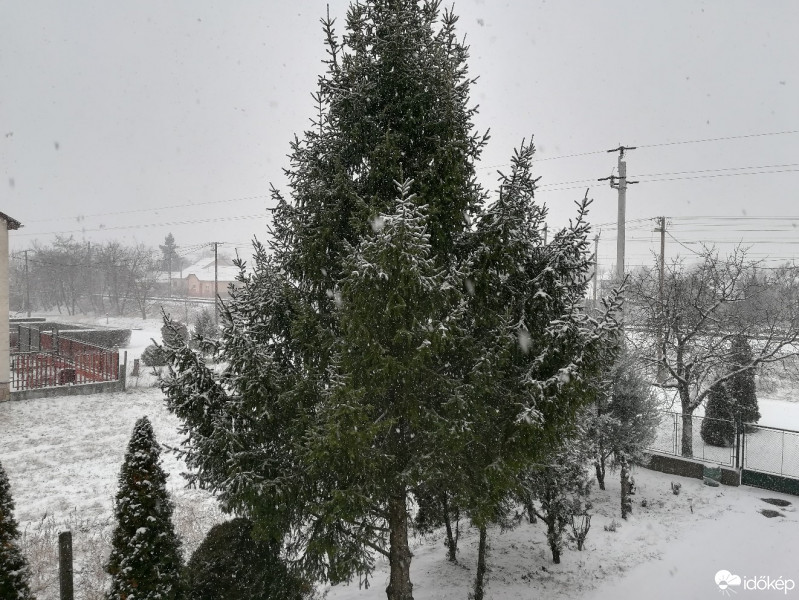 Maklár