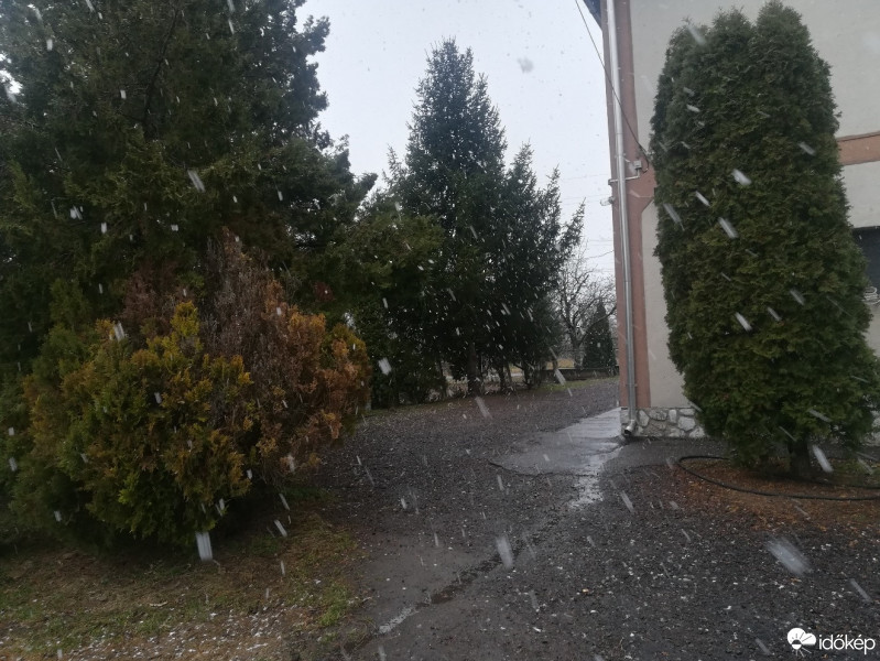 Maklár