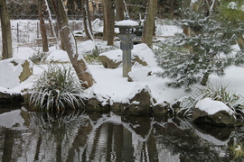 Szentendre, Japán kert